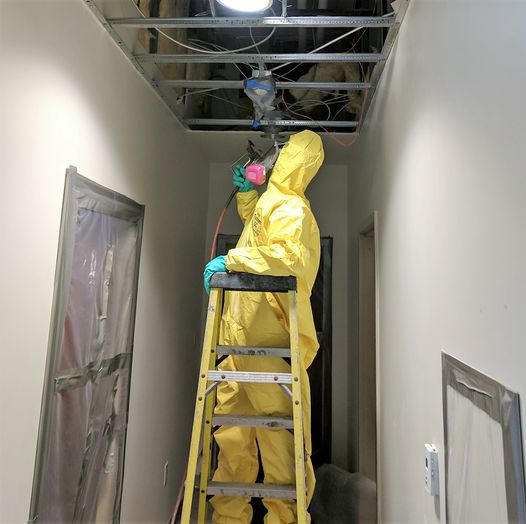 Mold Removal St. Louis MO